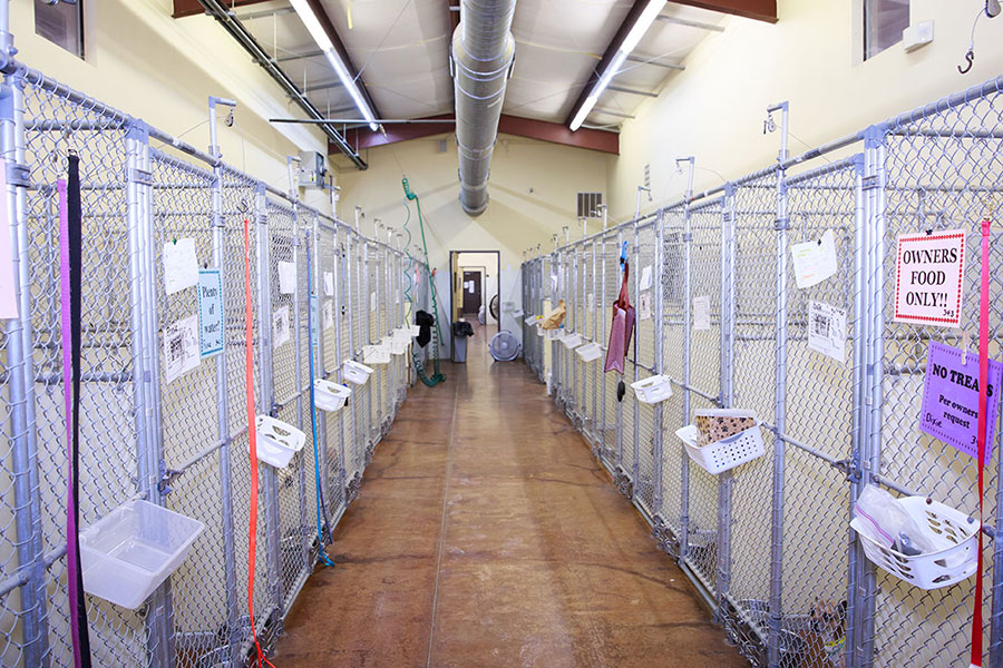 Dog kennels at Happy Tails Pet Resort
