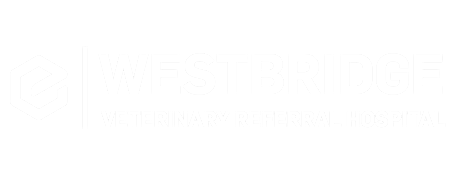 Westbridge Veterinary Referral Hospital Logo Westbridge Veterinary Referral Hospital Logo