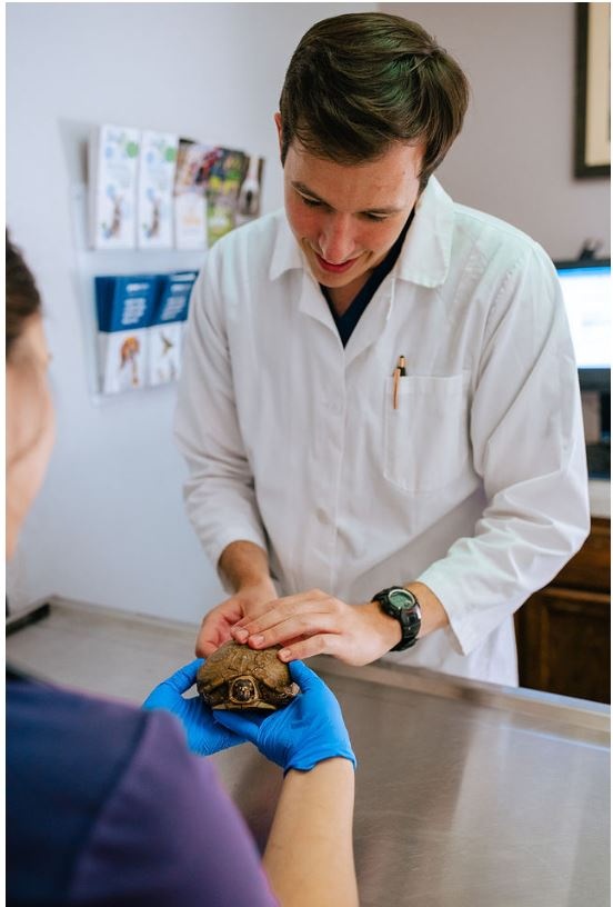 Thorough examinations at every visit.