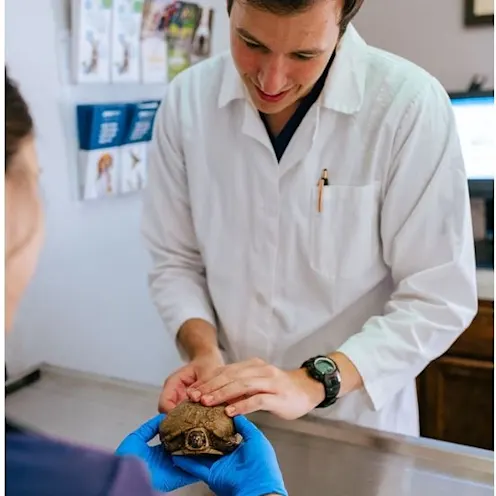 Thorough examinations at every visit. Thorough examinations at every visit.