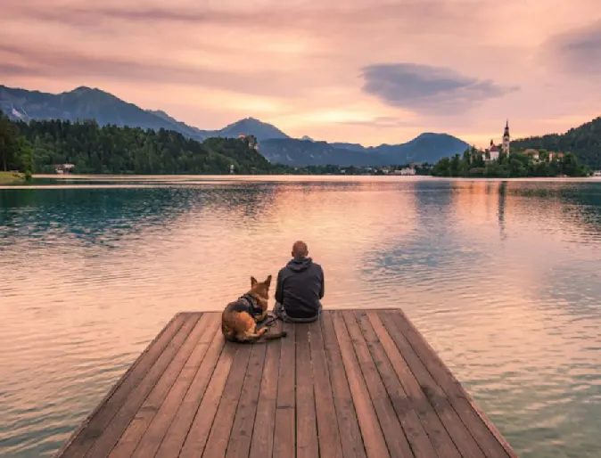 Owner Sitting with Dog at the Dock by the Lake Owner Sitting with Dog at the Dock by the Lake