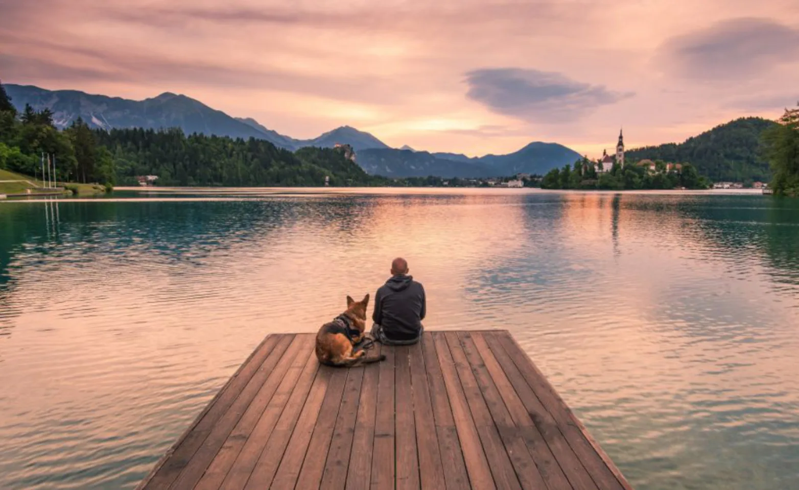 Owner Sitting with Dog at the Dock by the Lake Owner Sitting with Dog at the Dock by the Lake