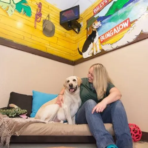 Staff member sitting with dog on dog bed in suite. Staff member sitting with dog on dog bed in suite.
