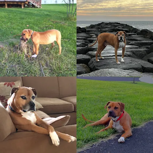 Finnegan Wydro Finnegan Wydro