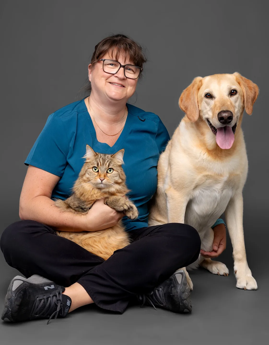 A pencil outline drawing of a puppy A pencil outline drawing of a puppy