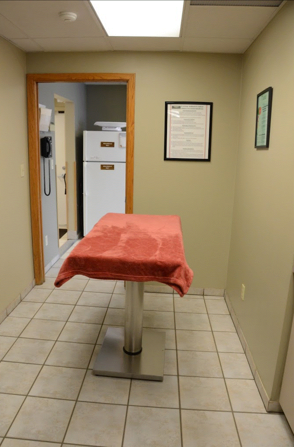 Peotone Animal Hospital Exam Room 2 which consist's of a table with an big orange towel on top of it. 