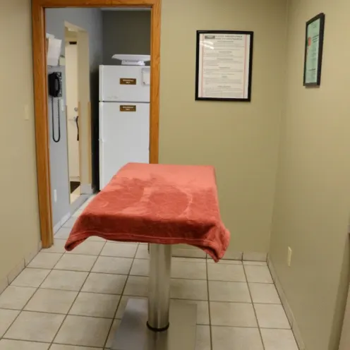 Peotone Animal Hospital Exam Room 2 which consist's of a table with an big orange towel on top of it. 