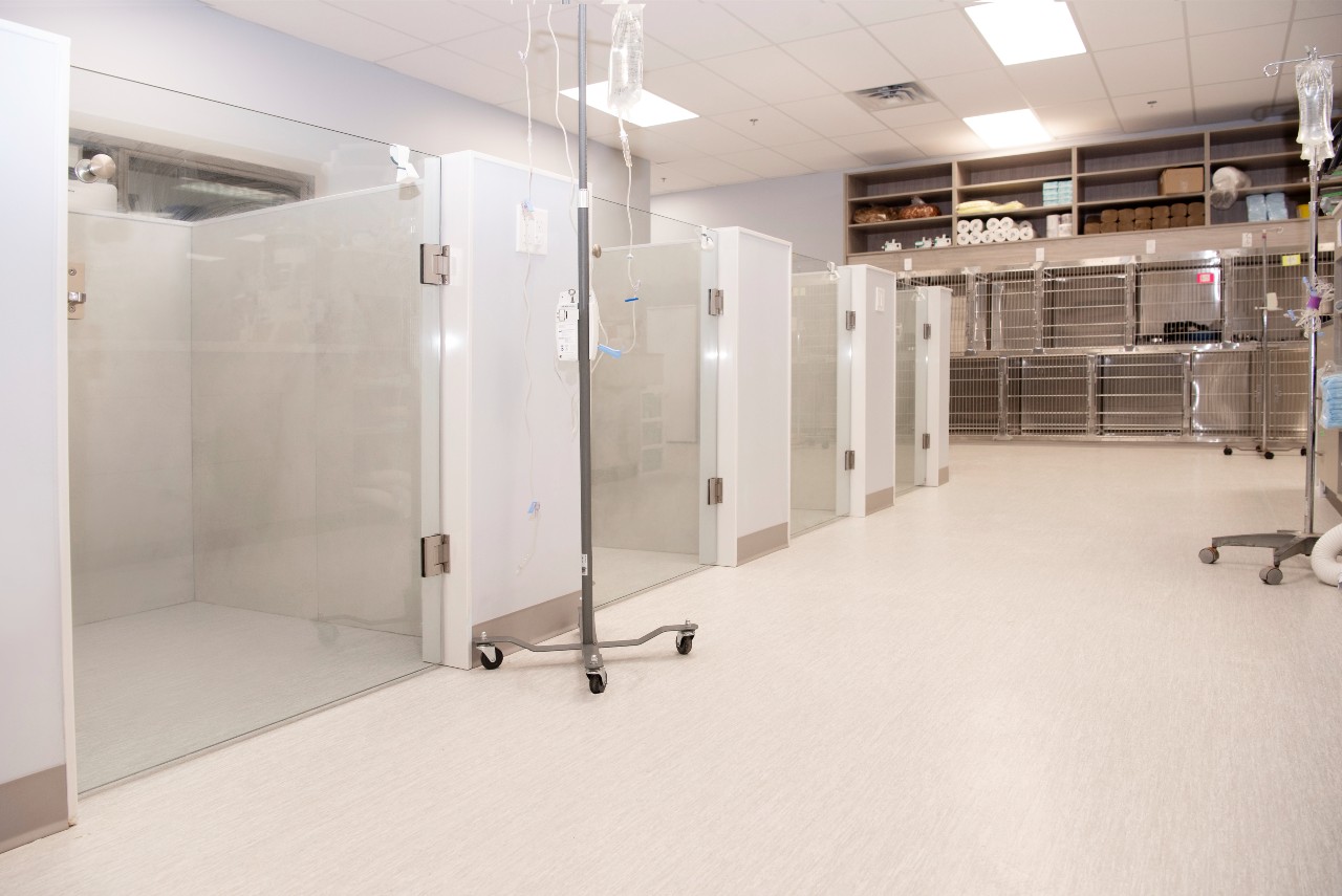 Clear pet holding area