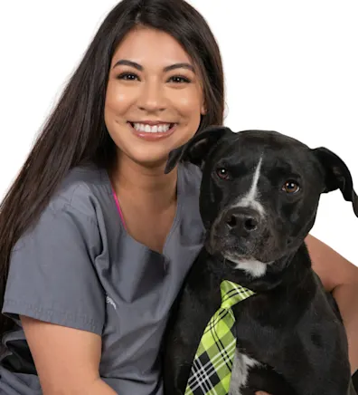 Sierra, an LVT at Grandview Veterinary Clinic Sierra, an LVT at Grandview Veterinary Clinic