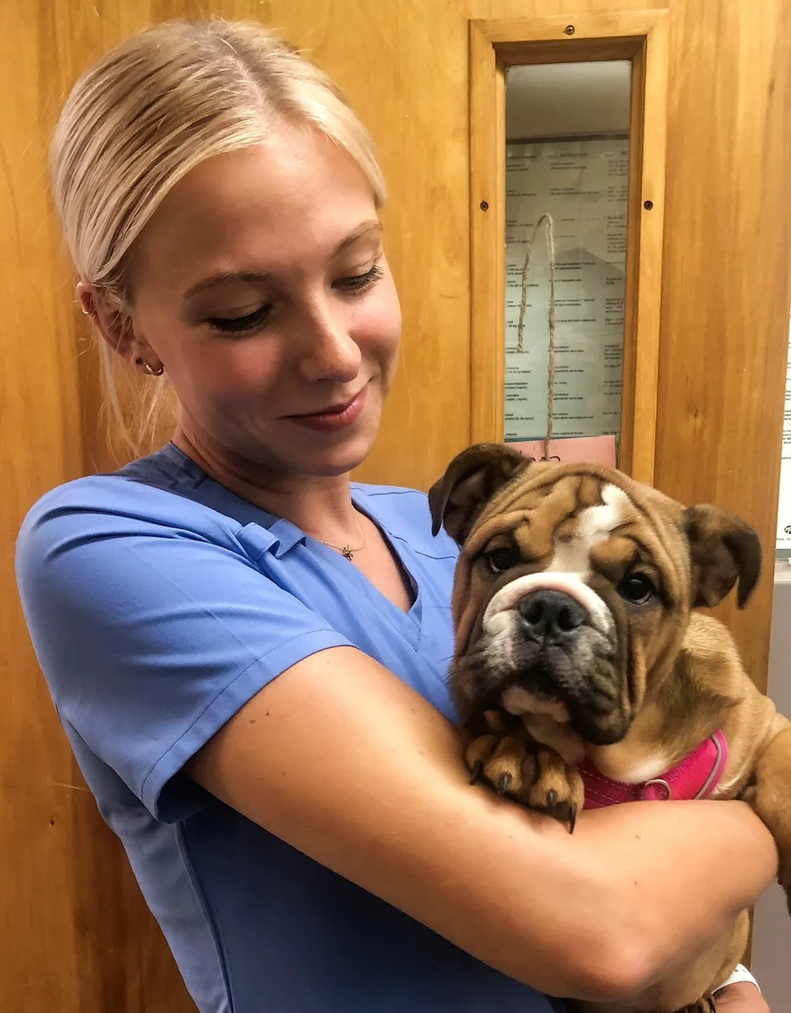 Elizabeth DeMuro, Vet Tech at Nutley Animal Hospital Elizabeth DeMuro, Vet Tech at Nutley Animal Hospital