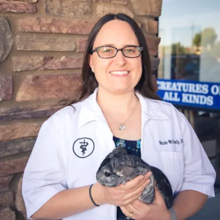 Dr. Nicole McCready holding a chinchilla