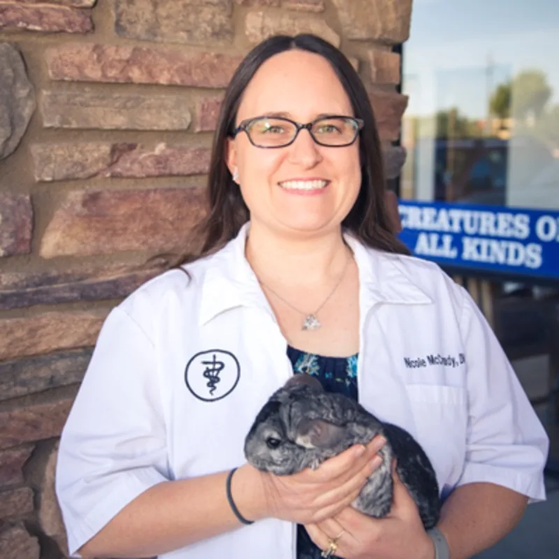 Dr. Nicole McCready holding a chinchilla Dr. Nicole McCready holding a chinchilla