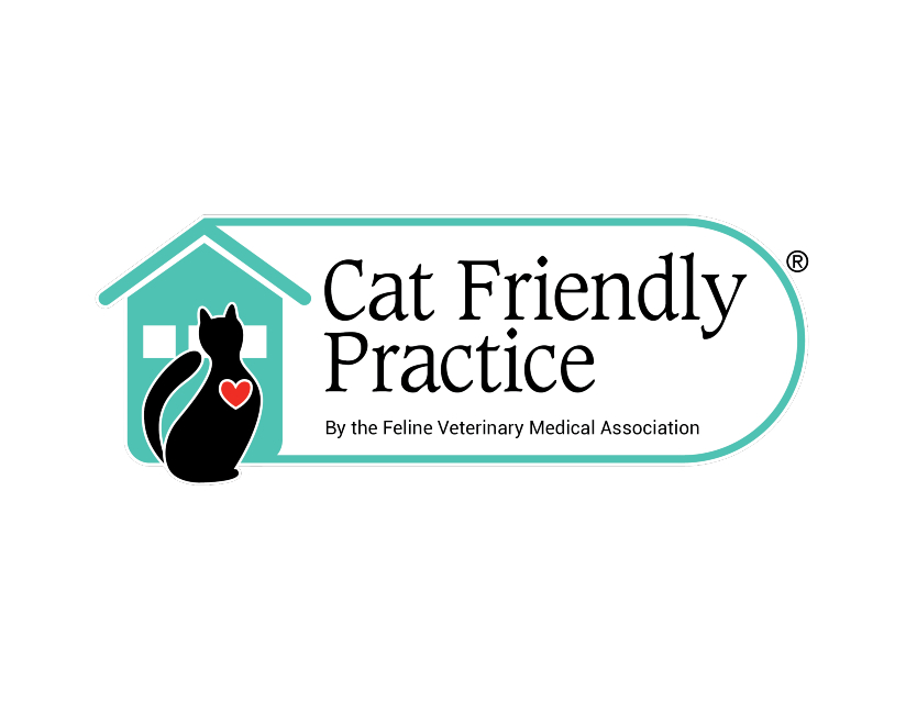 Cat Friendly