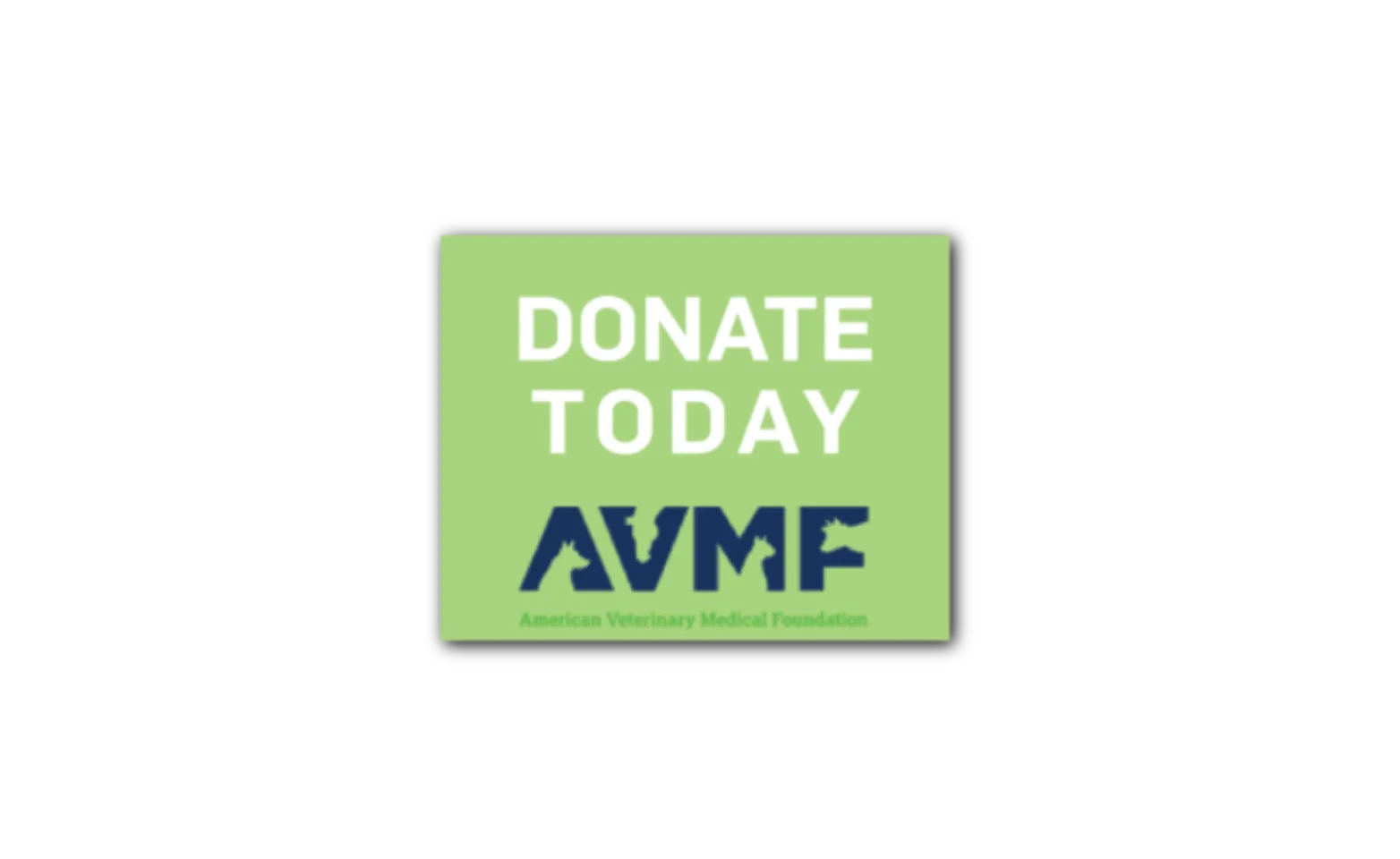Donate Today AVFM Logo Donate Today AVFM Logo