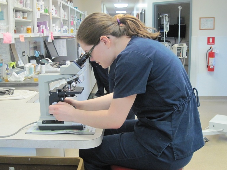 A staff member holding a large black dog
