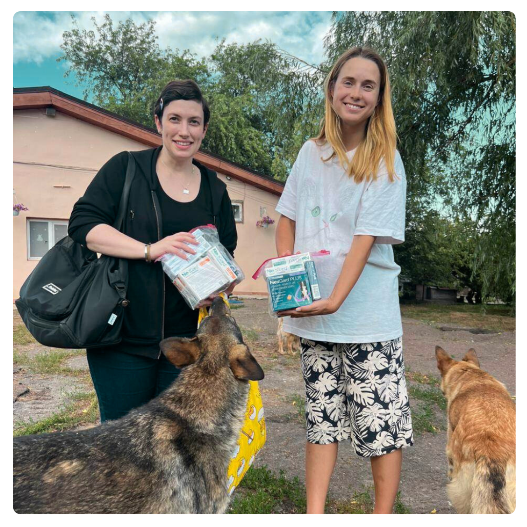 Dr. Gennace donating flea and tick prevention medicine to an animal shelter in Kyiv