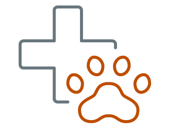 Emergency Services in Asheville, NC South Asheville Veterinary