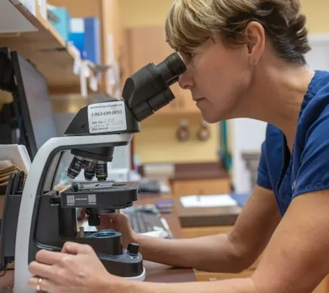 Woman looking through microscope Woman looking through microscope