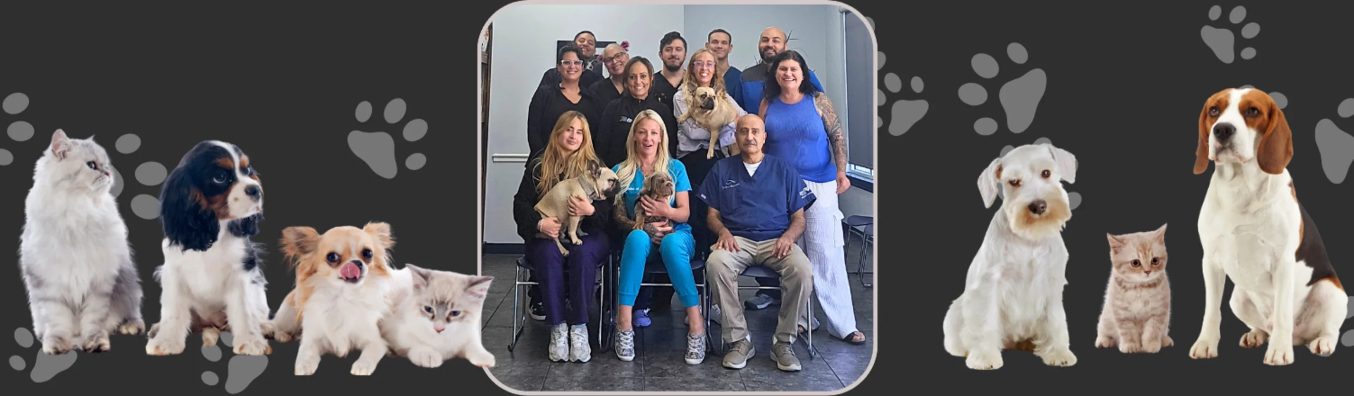 Atlantic Animal Hospital Staff Photo Atlantic Animal Hospital Staff Photo