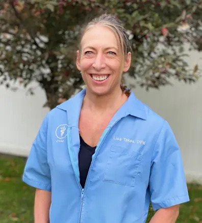 Lisa Takes Lisa Takes