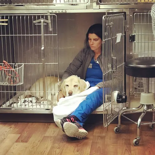 Staff member sitting in a crate with a yellow dog