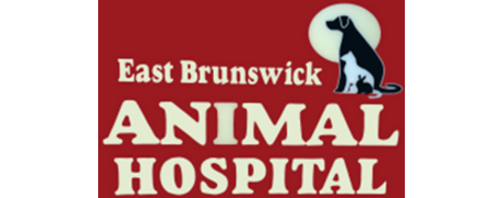 East Brunswick Animal Hospital  Logo East Brunswick Animal Hospital  Logo