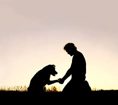 Silhouette of dog and owner holding paw and hand over the sunset. Silhouette of dog and owner holding paw and hand over the sunset.