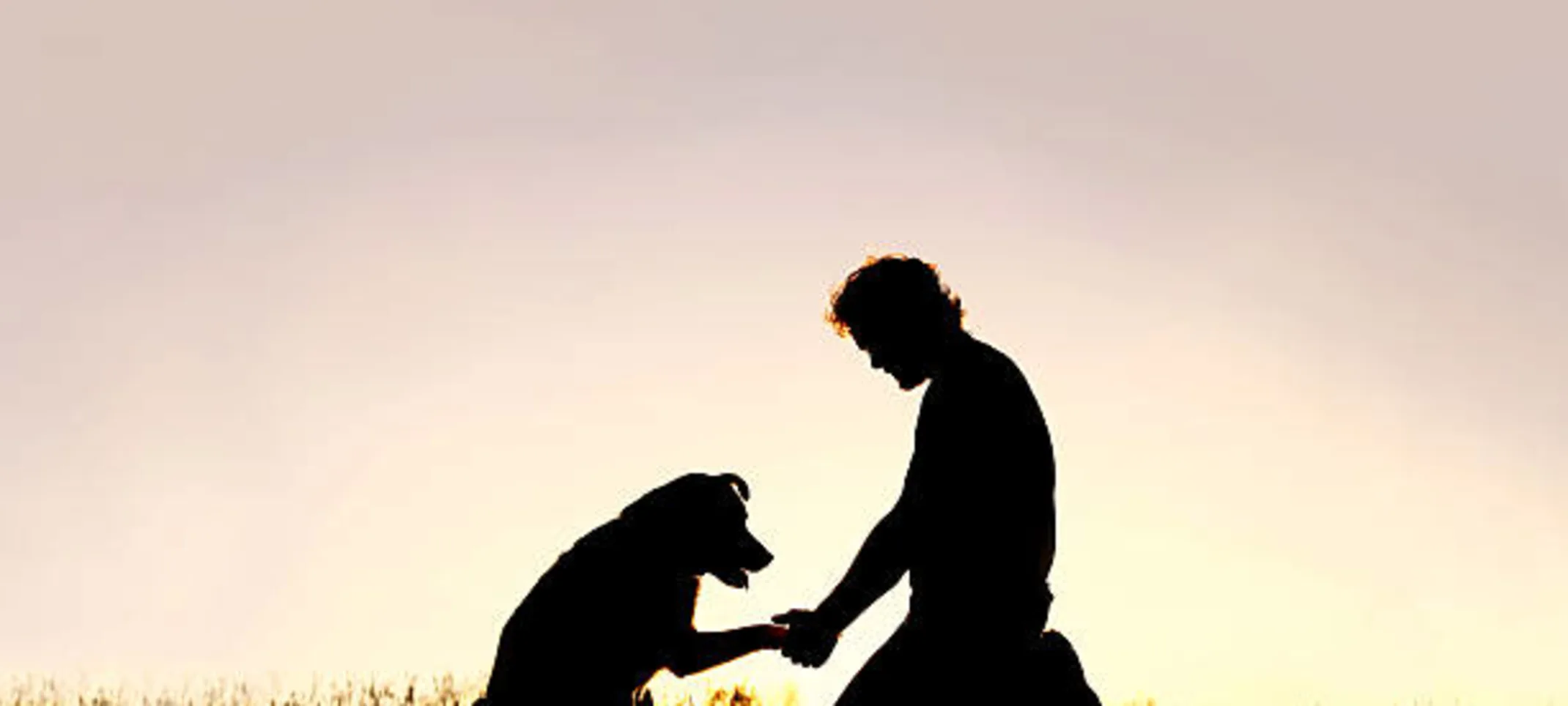 Silhouette of dog and owner holding paw and hand over the sunset. Silhouette of dog and owner holding paw and hand over the sunset.