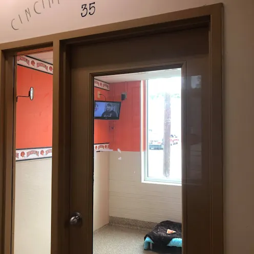 Cincinnati Bengals 35 Cincinnati Bengals 35