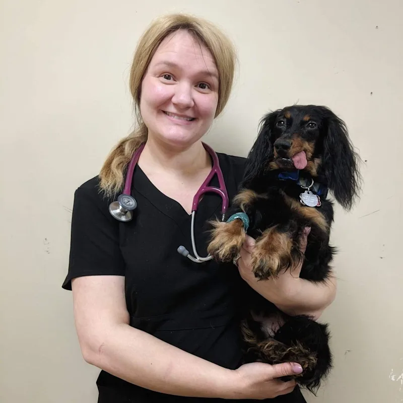 Dr. Kate Boddington, vet at Hermitage Veterinary Hospital Dr. Kate Boddington, vet at Hermitage Veterinary Hospital