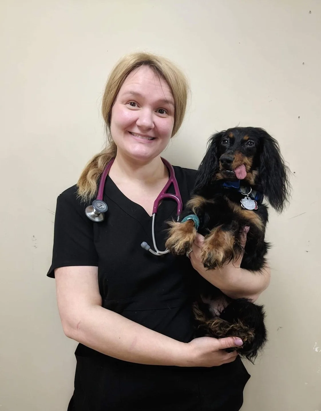 Dr. Kate Boddington, vet at Hermitage Veterinary Hospital Dr. Kate Boddington, vet at Hermitage Veterinary Hospital