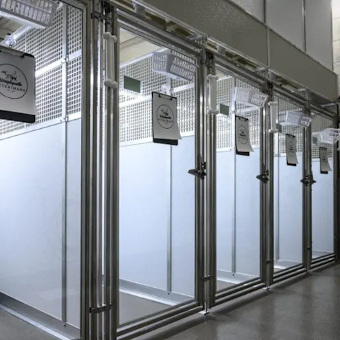 Kennel Area Kennel Area