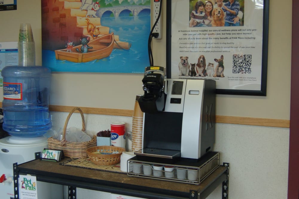lobby at Kenmore Animal Hospital