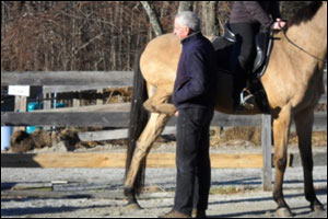 vet stretching horse's leg