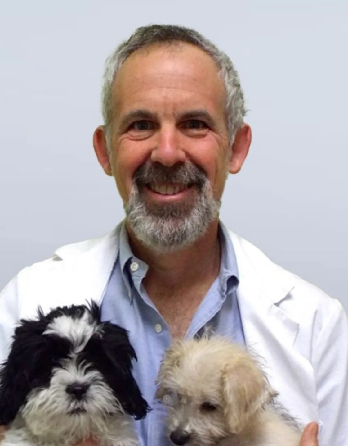 Keith Niesenbaum Keith Niesenbaum