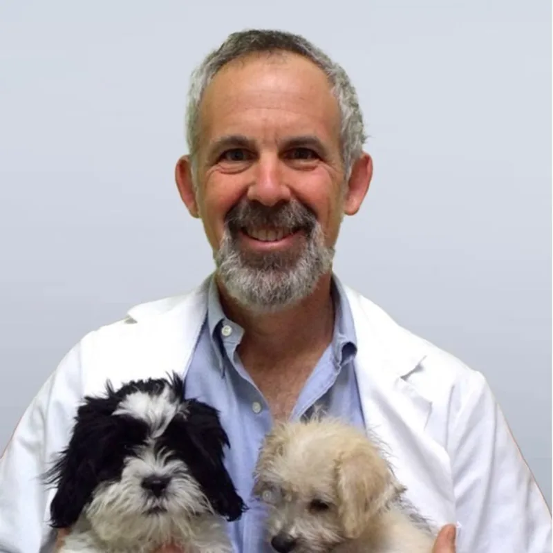 Keith Niesenbaum Keith Niesenbaum