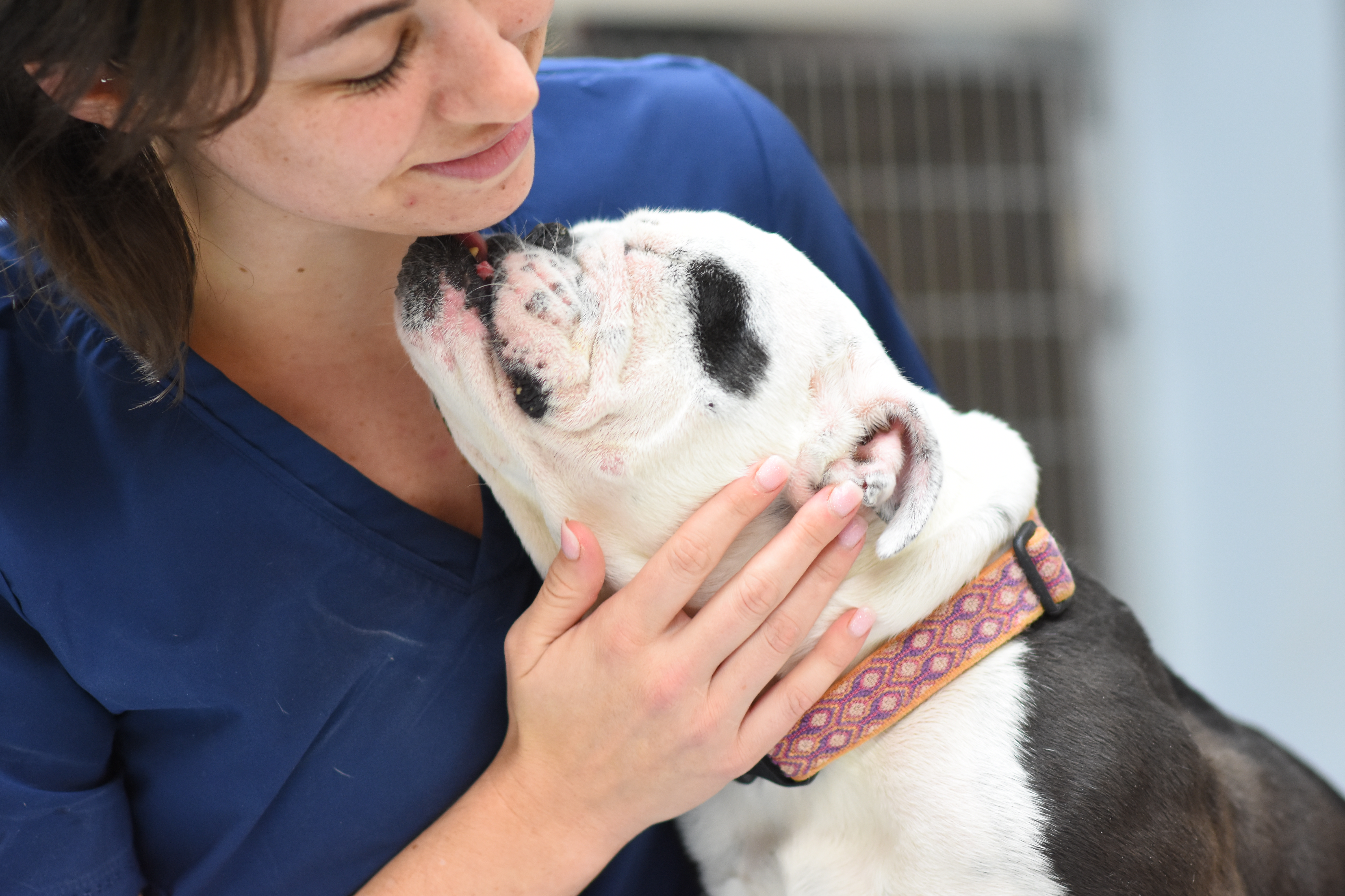 AMC of Hattiesburg staff with dog