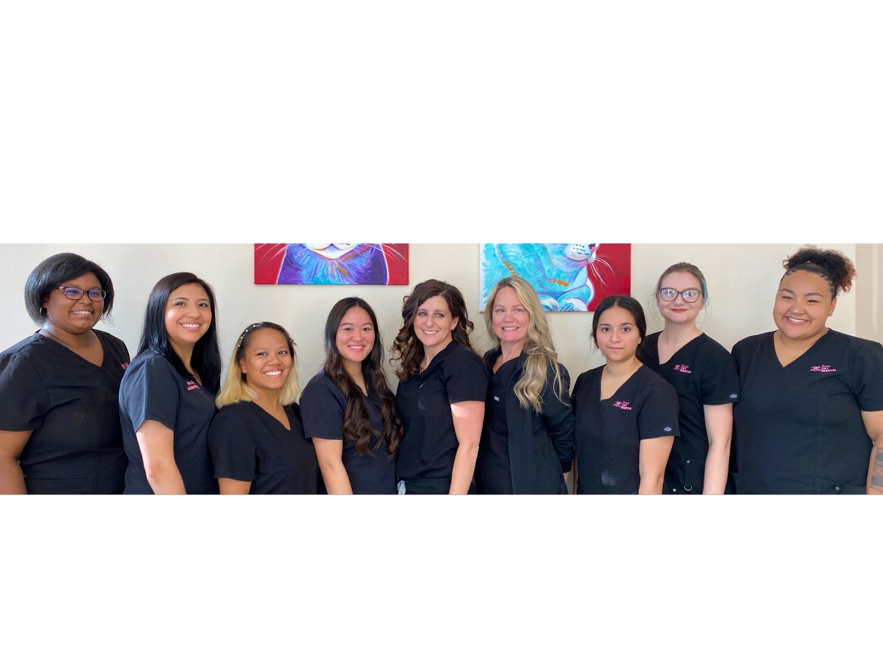 Experienced Veterinarians in Houston, TX Houston Cat Hospital