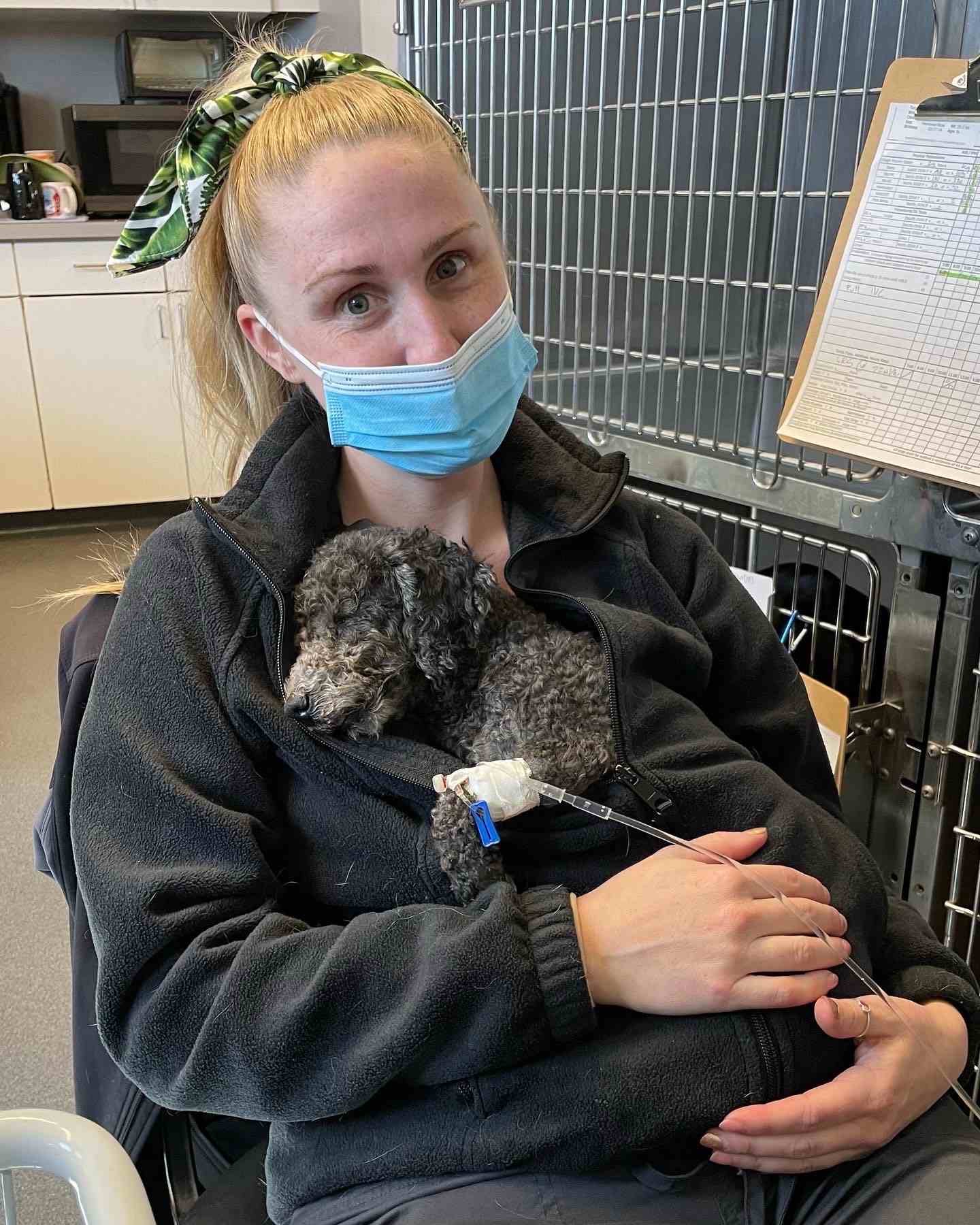 Blonde woman sitting down wearing a blue mask and holding a puppy.