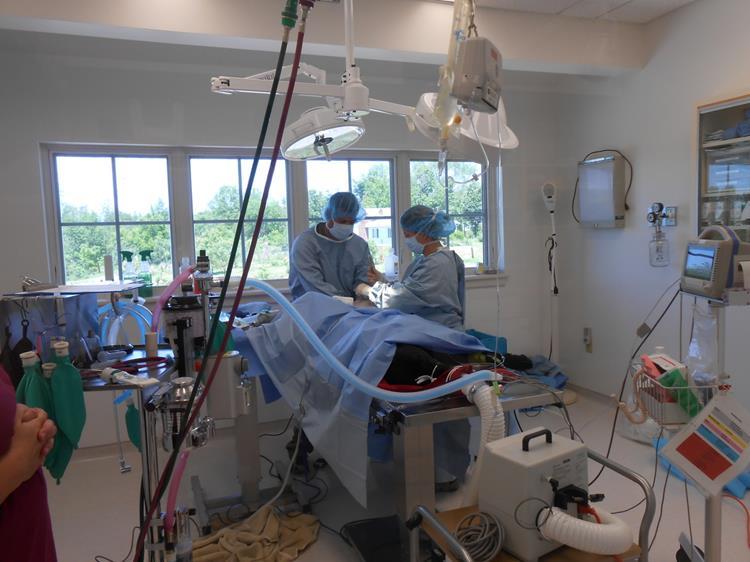 Doctors during surgery