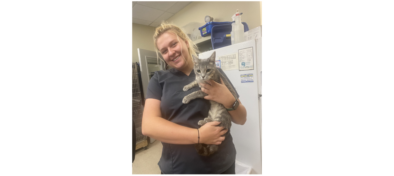 Blonde woman in grey shirt holding a tabby kitten.