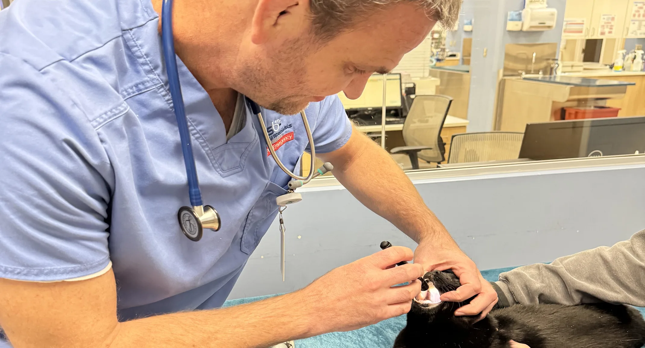 Dr. Centini Dr. Centini