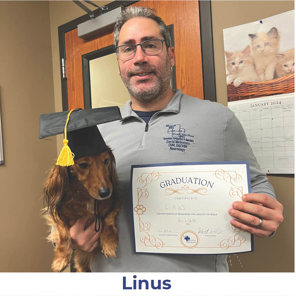 Linus the dog with Neurology Graduate Hall of Fame certificate