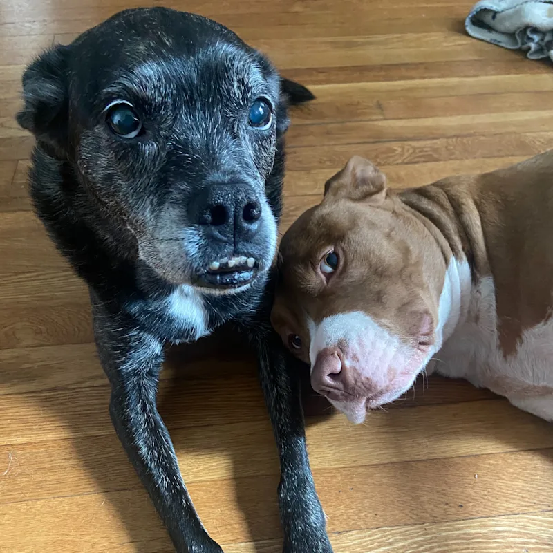 Daisy Espinoza Daisy Espinoza