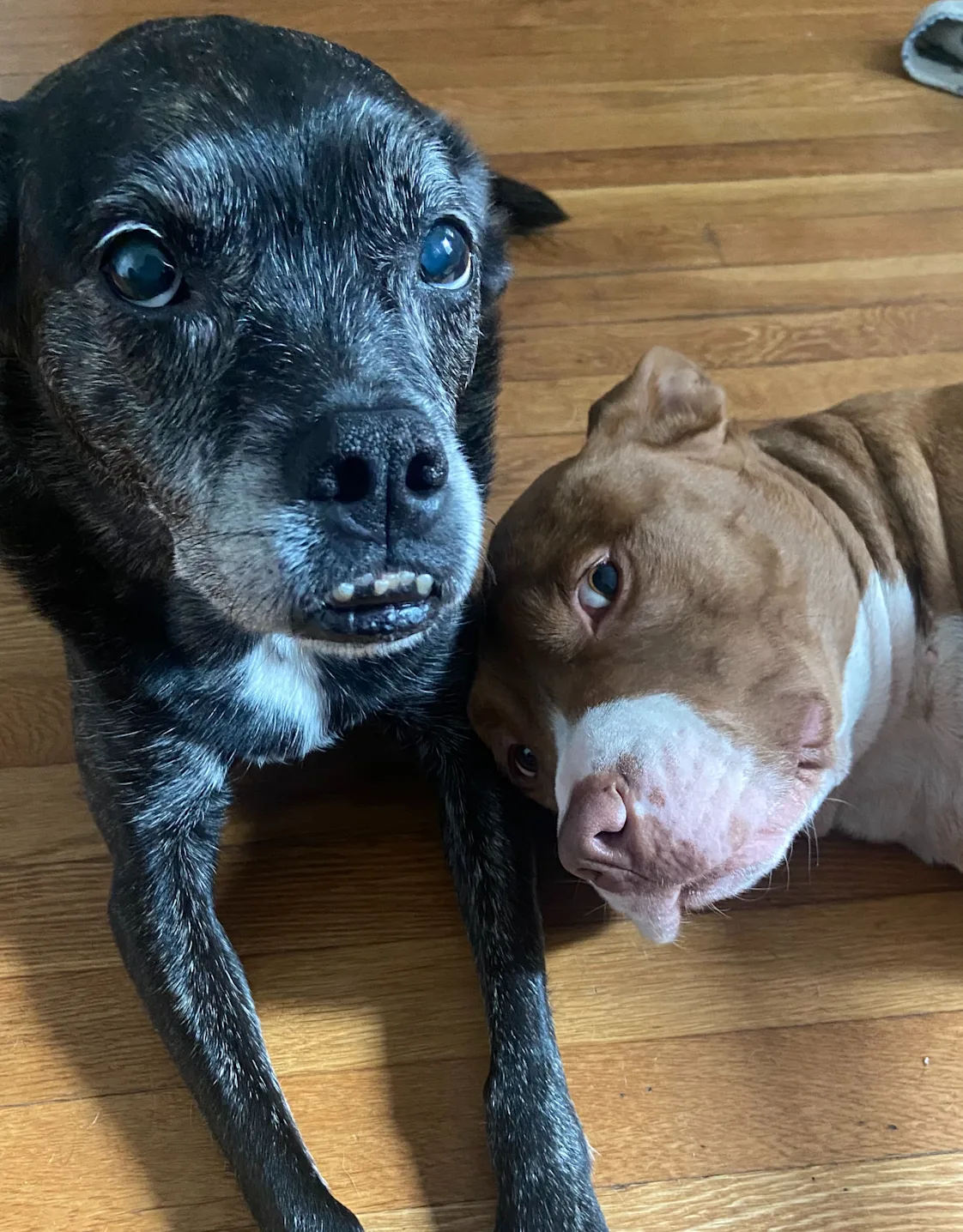 Daisy Espinoza Daisy Espinoza