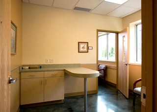 The Center for Bird and Exotic Medicine Exam Table