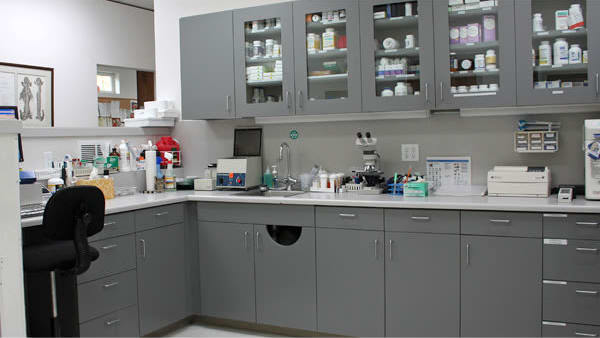 Apple Tree Cove Animal Hospital Diagnostics