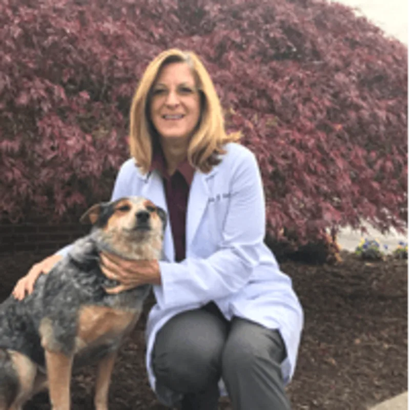 Dr. Lisa G. Carter Dr. Lisa G. Carter