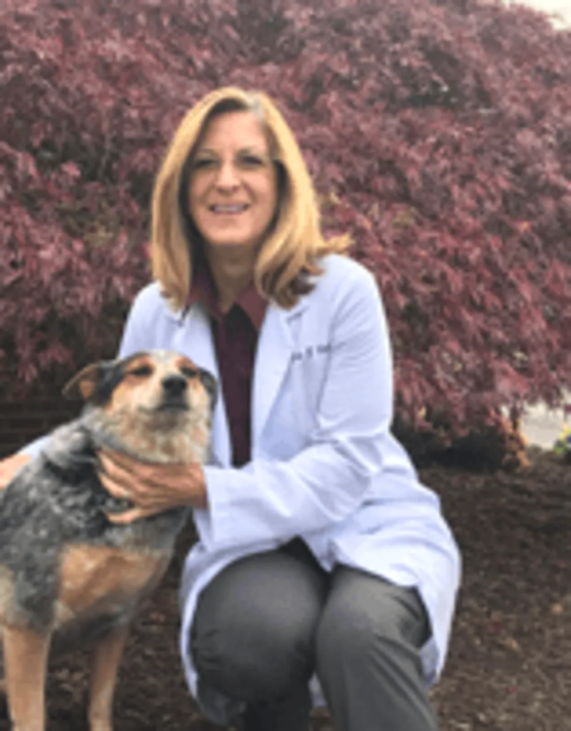 Dr. Lisa G. Carter Dr. Lisa G. Carter