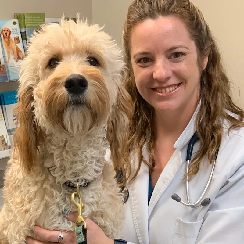 Jennifer Marble Jennifer Marble